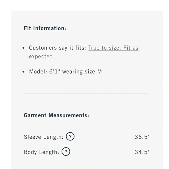 Abercrombie & Fitch Men’s Parka - Picture 15 of 16